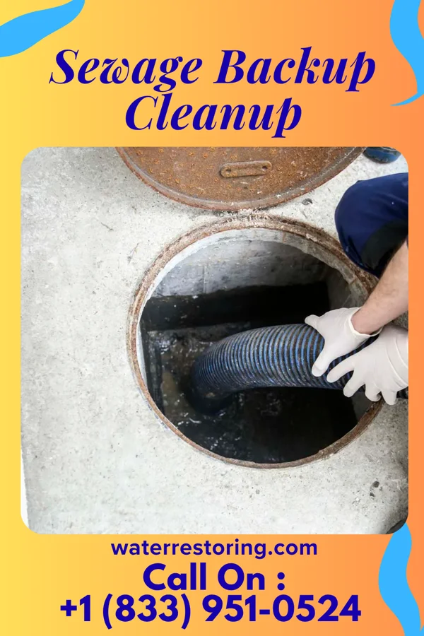 Sewage Backup Cleanup in Cove, TX